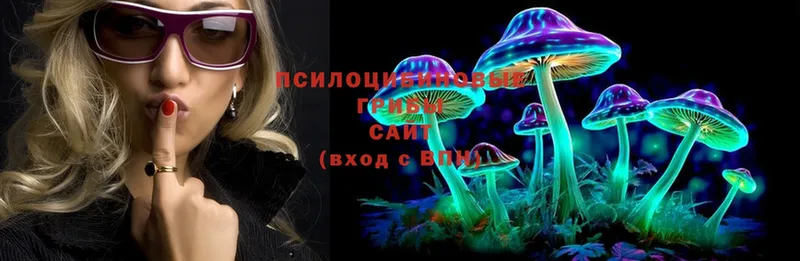 хочу   Артёмовск  Псилоцибиновые грибы MAGIC MUSHROOMS 