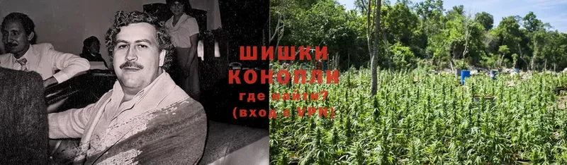 Бошки Шишки SATIVA & INDICA  что такое   Артёмовск 